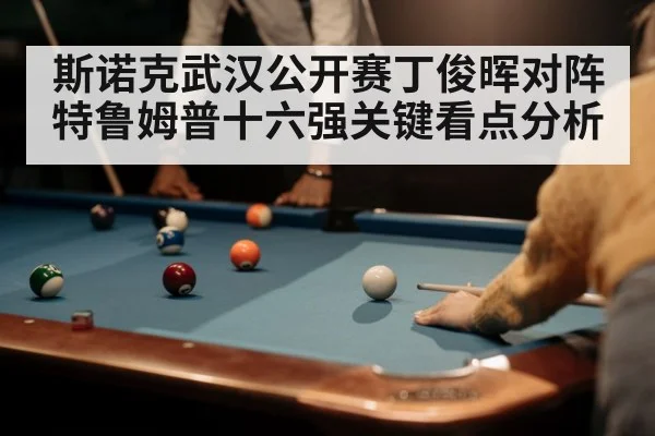 snooker player cue